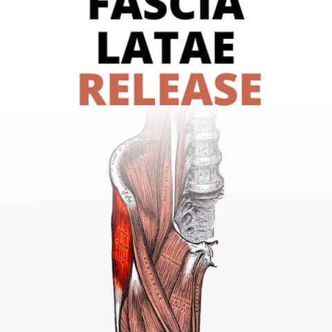 the cover of fascia latae's release