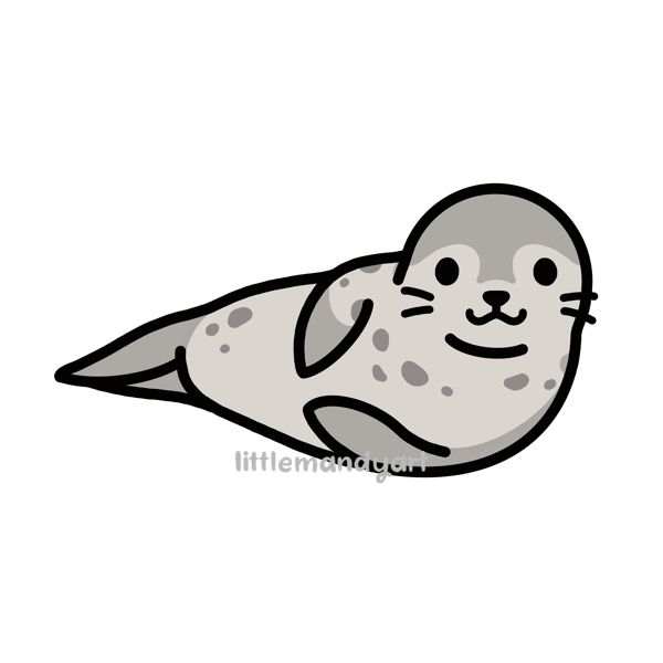 an image of a seal animal on a white background with the caption's name