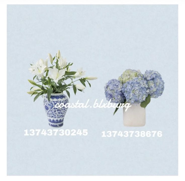 there are two vases with flowers in them on the same side, one is blue and white