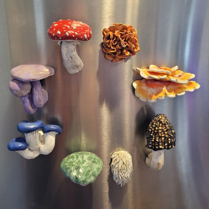 several different types of mushrooms are displayed on a metal surface, including one mushroom and the other