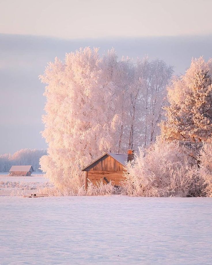 a house in the middle of a snowy field with trees and snow covered ground behind it