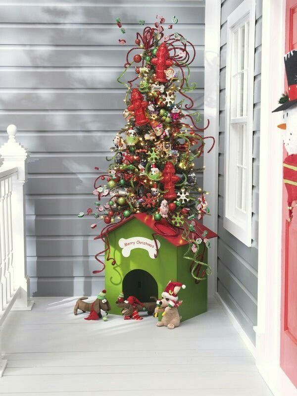 a small christmas tree in the corner of a room next to a red door and window