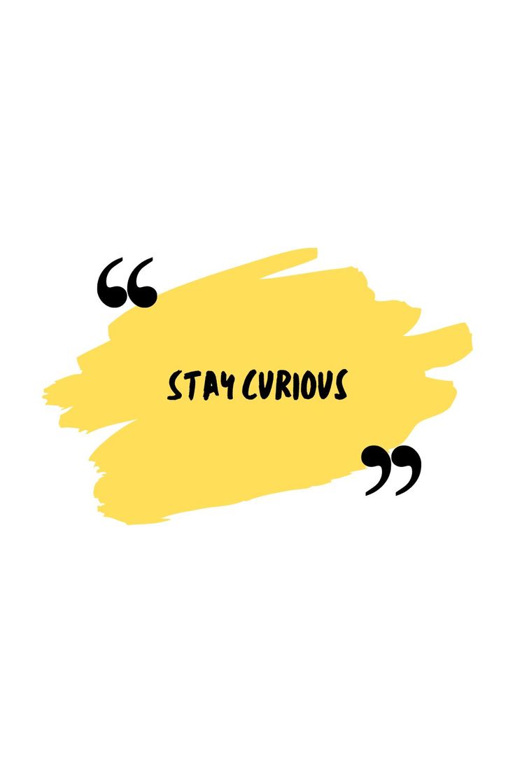 the words stay curious written in black on a yellow background