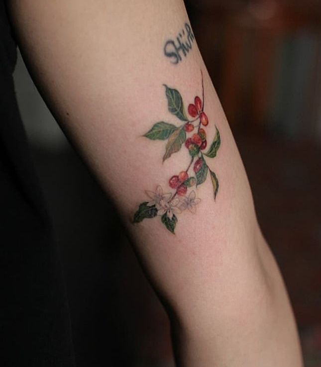 a person with a tattoo on their arm