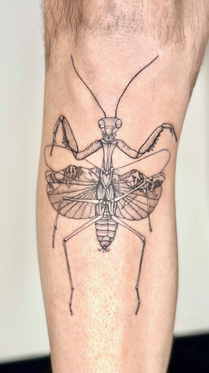 combination of a preying mantis with mountain scene in the wings on shin of shaved male Preying Mantis Tattoo Sketch, Bug Knee Tattoo, Prey Mantis Tattoo, Pray Mantis Tattoo, Praying Mantis Tattoo Simple, Orchid Mantis Tattoo, Mantis Tattoo Design, Under The Knee Tattoo, Pray Mantis