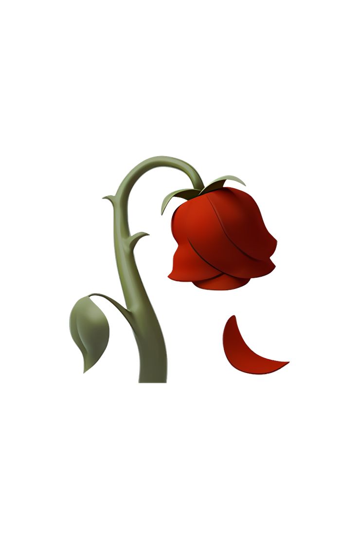 an image of a red flower with leaves coming out of it's petals on a white background