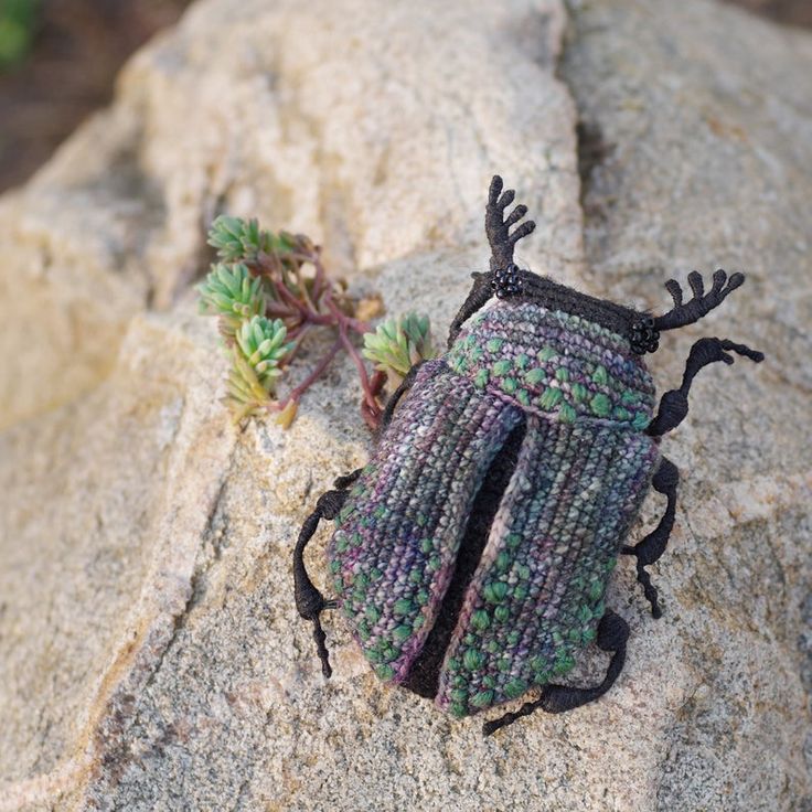 a beetle sitting on top of a rock next to a plant