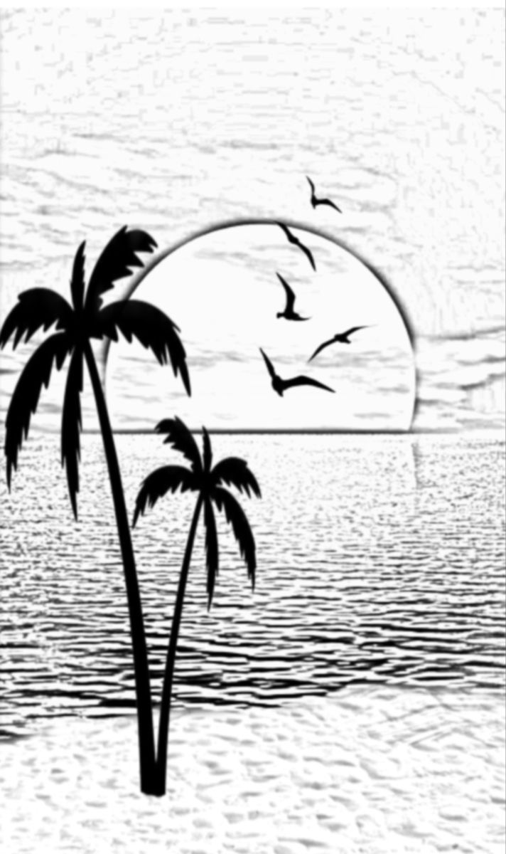 Sunset, palm trees, beach and birds Sunset Palm Trees, Palm Trees Beach, Boat Art, Beach Signs, Birds Tattoo, Birds Flying, Palm Tree, Palm Trees, Trees