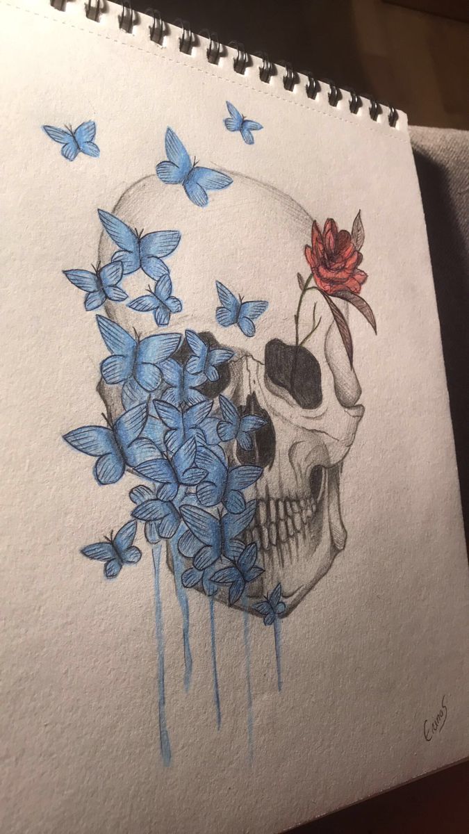 a drawing of a skull with blue butterflies around it and a rose on its head