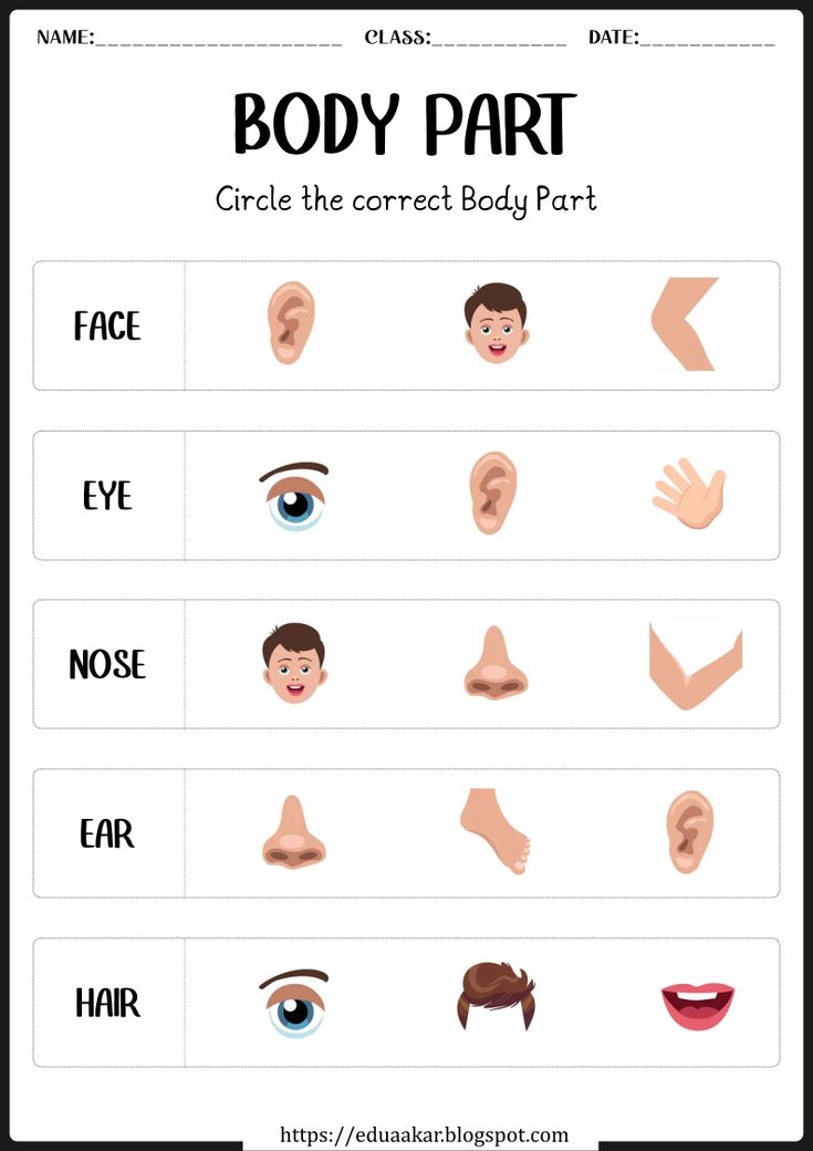 My Body Parts worksheet Worksheets For Pp1, My Body Worksheets For Kindergarten, Ukg Worksheets Evs, Body Activity Preschool, My Body Preschool Worksheets, Parts Of Body Worksheet For Kindergarten, Parts Of My Body Preschool, My Body Activities For Kindergarten, Part Of The Body For Kids