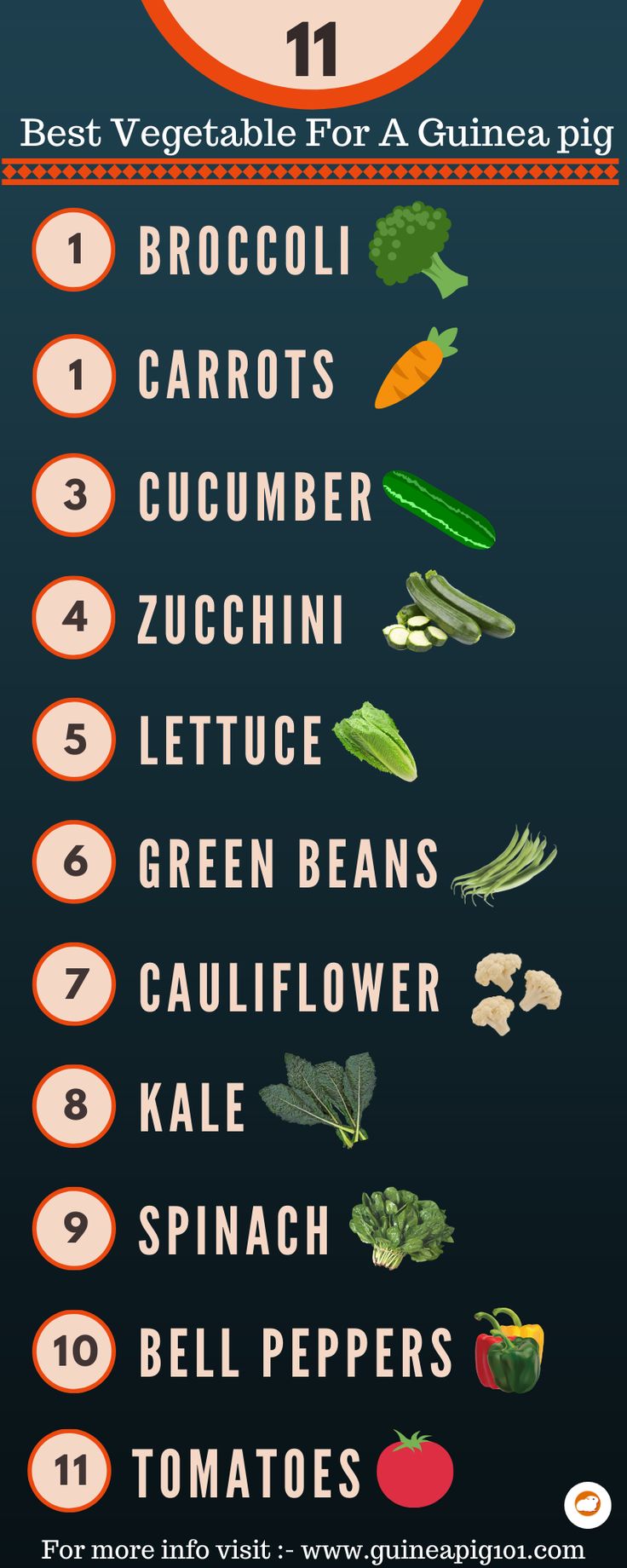 an info sheet with different types of vegetables