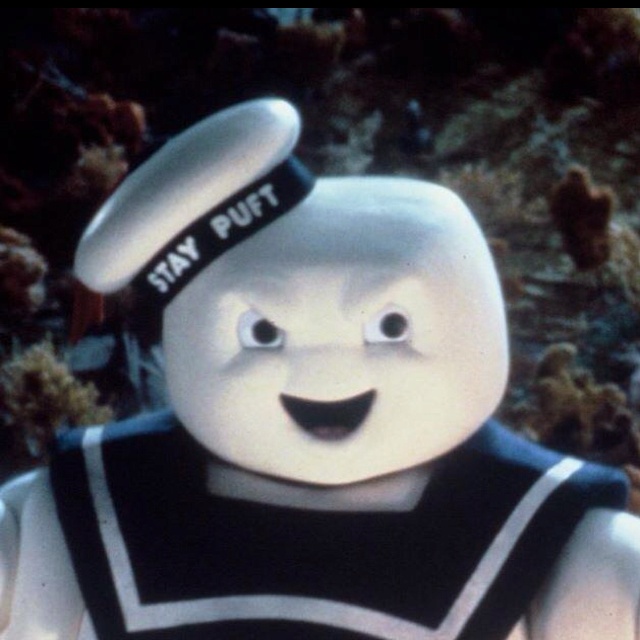 a close up of a stuffed animal wearing a sailor's uniform and holding a frisbee