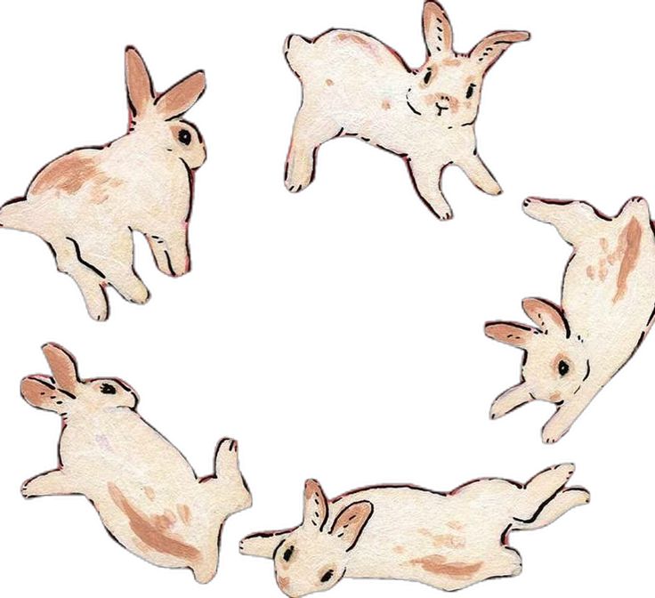 an image of four rabbits in the shape of a circle