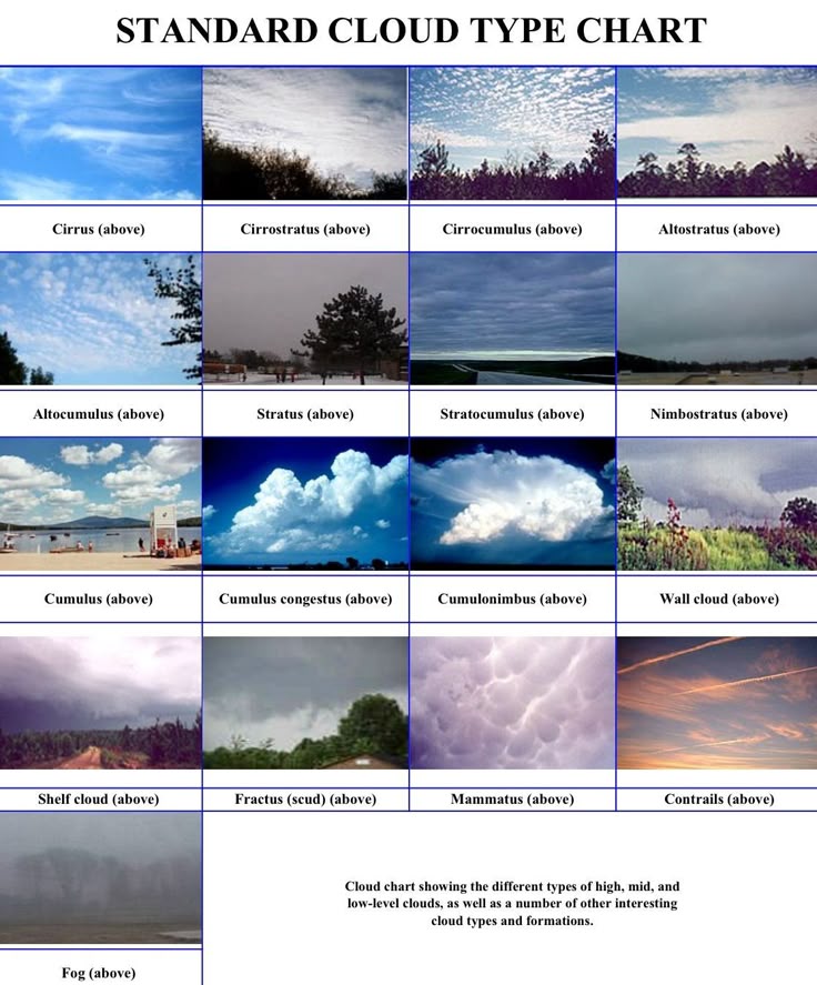 several different types of clouds are shown in this image, with the words standard cloud type chart below