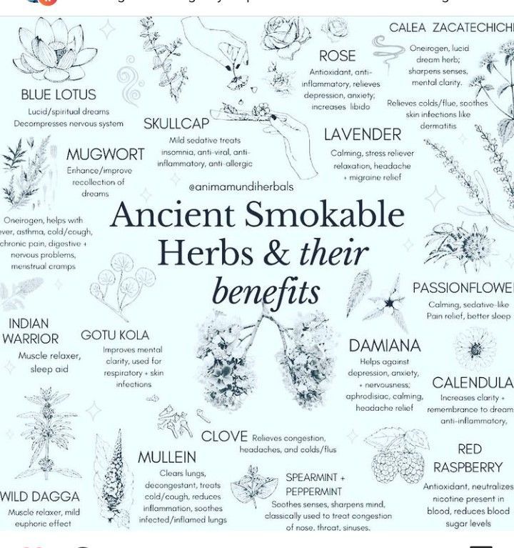 Herbs And Their Benefits, Smokable Herbs, Spells Magic, Magickal Herbs, Medical Herbs, Witch Spirituality, Magic Herbs, Magical Herbs, Herbal Apothecary