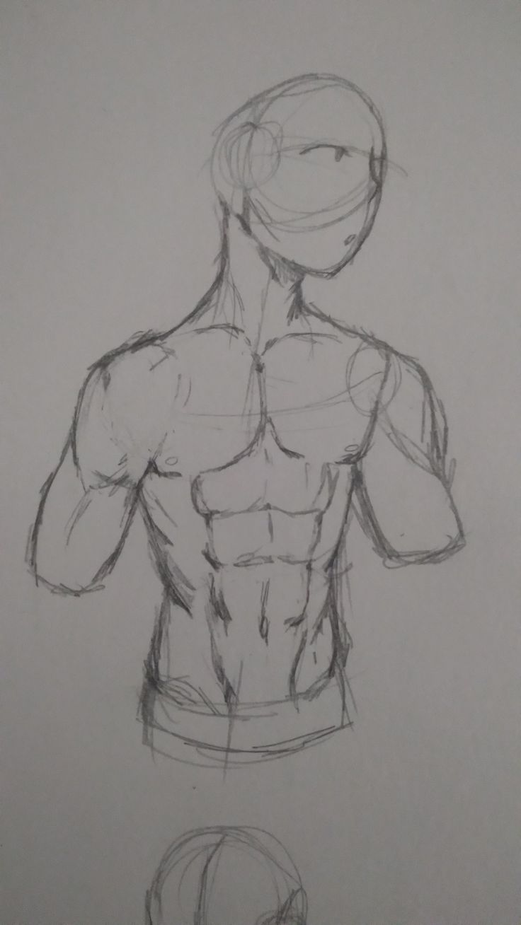 a drawing of a man's torso with no shirt on, and the bottom half of