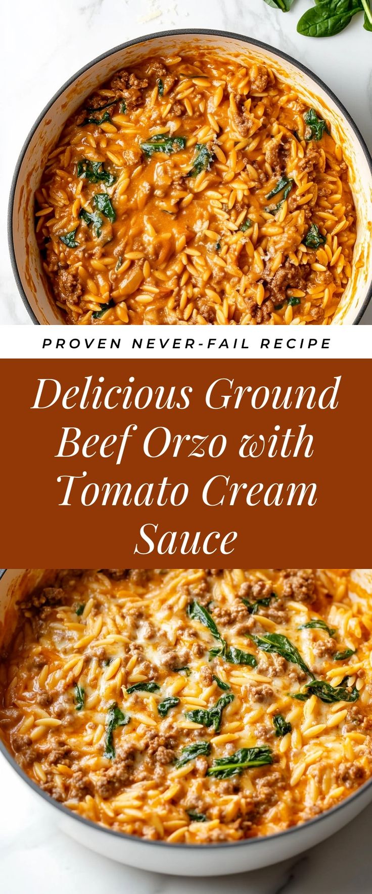 Image for Delicious Ground Beef Orzo with Tomato Cream Sauce Easy Dinner For Winter, Tomato Beef Orzo, Ground Beef Meal Ideas Healthy, Impossible Meat Dinner Recipes, Quick Healthy Dinner Ground Beef, Quick Easy Weekday Dinners, Easy Dinner Ideas Using Ground Beef, Ground Meat Lunch Ideas, Easy Lunch Ideas With Ground Beef