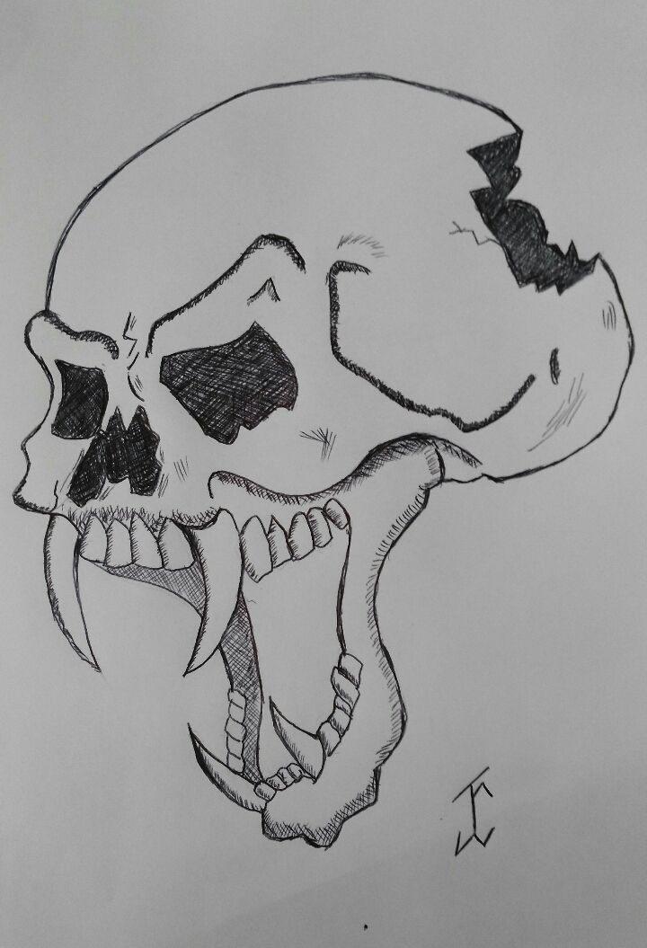 a drawing of a skull with its mouth open