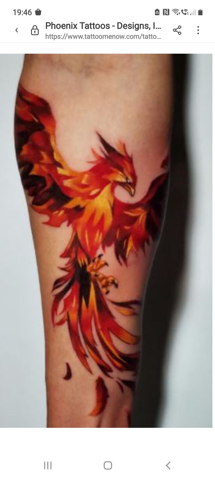 a tattoo on the leg of a person with an orange and red firebird design