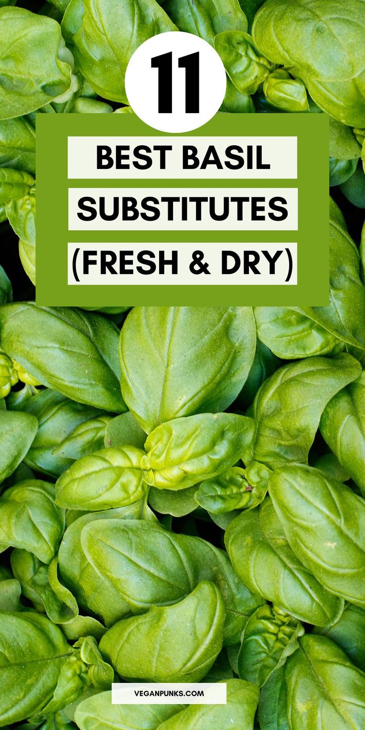 Fresh basil on a Pinterest pin with a title. Spice Mix Recipes, Dried Basil, Mix Recipes, Storage Tips, Spice Mix, Best Vegan Recipes, Basil Leaves, Stir Fries, Easy Lunches