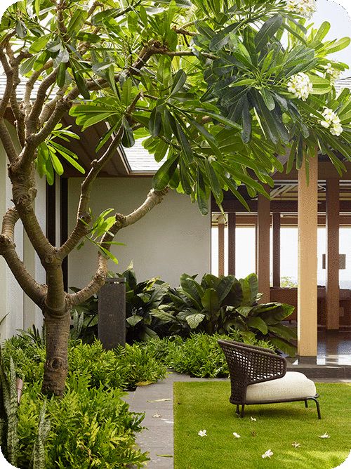 a chair sitting on top of a lush green field next to a tree and bushes