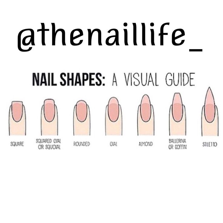 What's your shape ? Neutral Nail Extensions, Short Nail Length And Shape, Nails Shape Chart, Nails Length Chart, Nail Length Chart, Nail Shapes For Chubby Fingers, Nails Designs Christmas, Gel Nails Shape, Nails New Years