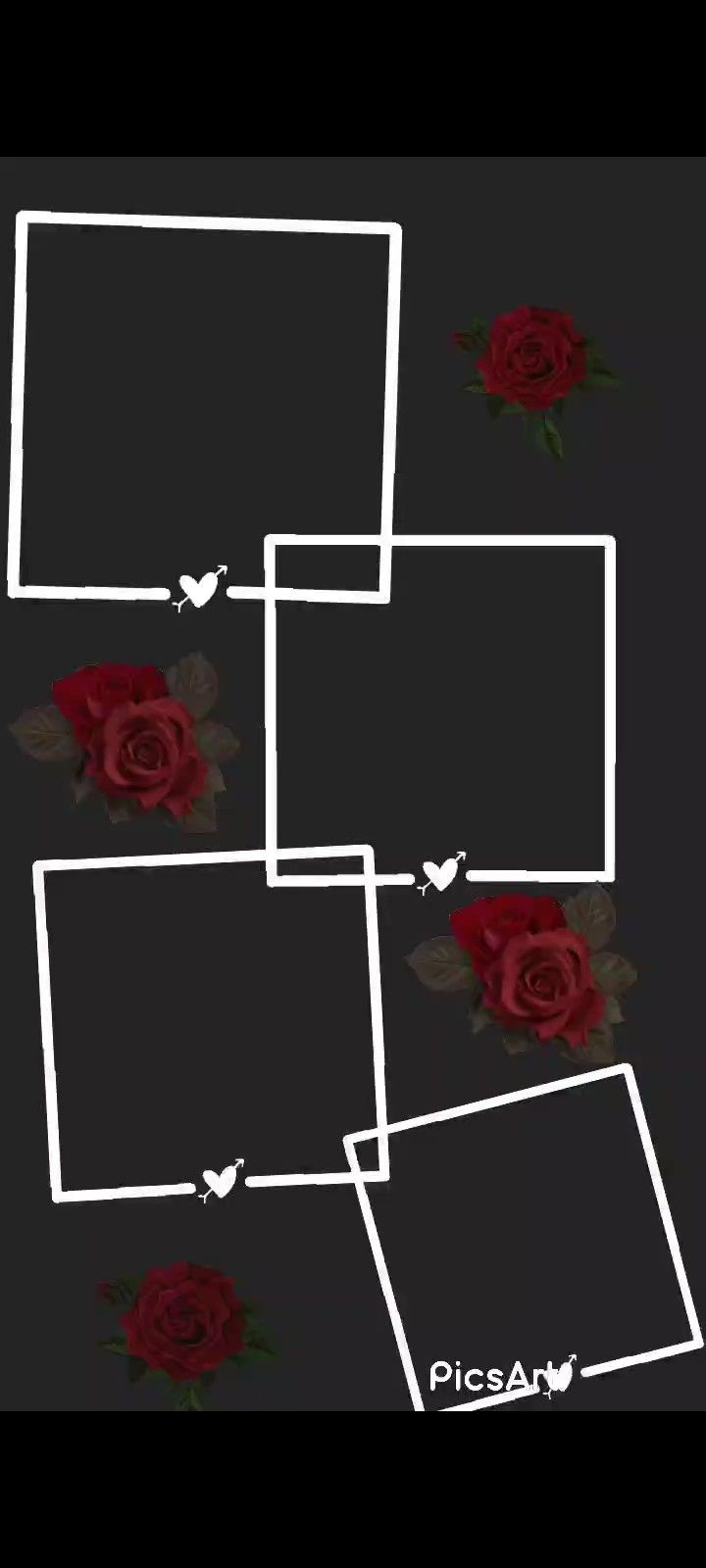 some red roses and white frames on a black background