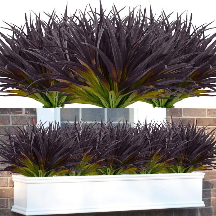 two white planters with purple flowers in them