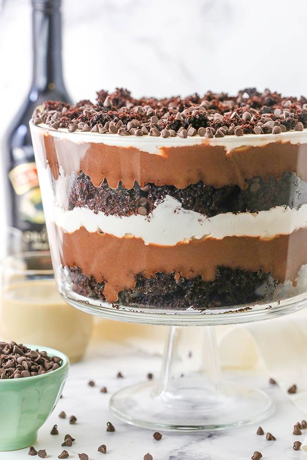 a chocolate cake with white frosting and chocolate chips