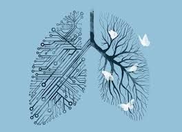 the lungs are made up of different types of wires and trees, with birds flying around them