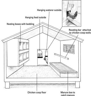 diagram of the inside of a chicken coop