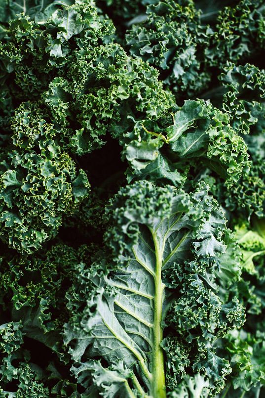 a close up view of some broccoli florets with green leaves on them