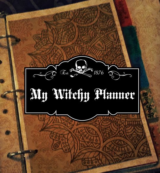 Witch Planner, Witchy Planner, Wiccan Crafts, Grimoire Book, Witch Diy, Witchy Crafts, Baby Witch, My Goals, Stay On Track