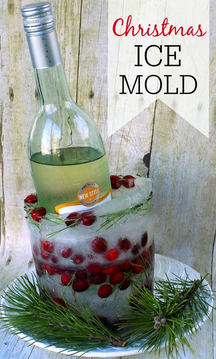 a bottle of wine sitting on top of an ice mould with cranberries