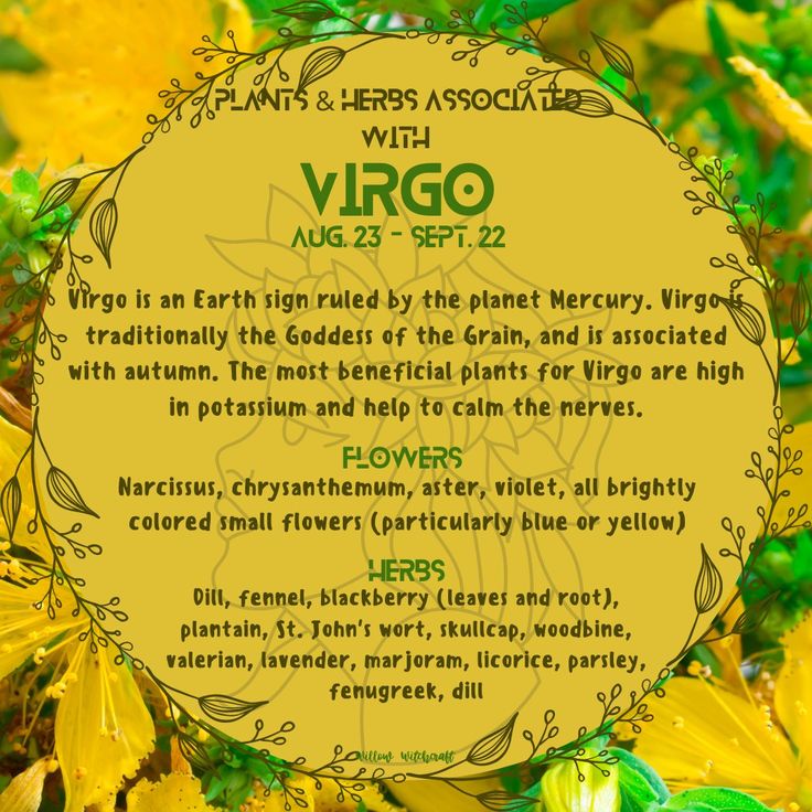 Plants For Virgo, Virgo Flower, Witchy Kitchen, Nature Witch, Green Witchcraft, Virgo Season, Magic Herbs, Shamanic Healing, Astrology Virgo