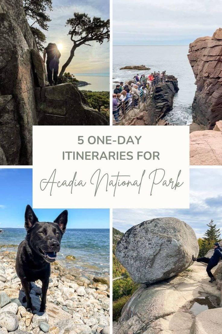 there are pictures of people and dogs on the rocks by the water with text overlay that reads 5 one - day itiners for arcadia national park