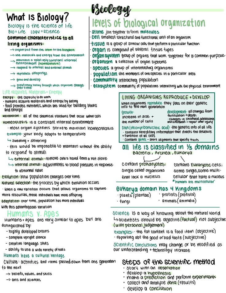 a green and white poster with words on it that read what is biology?,