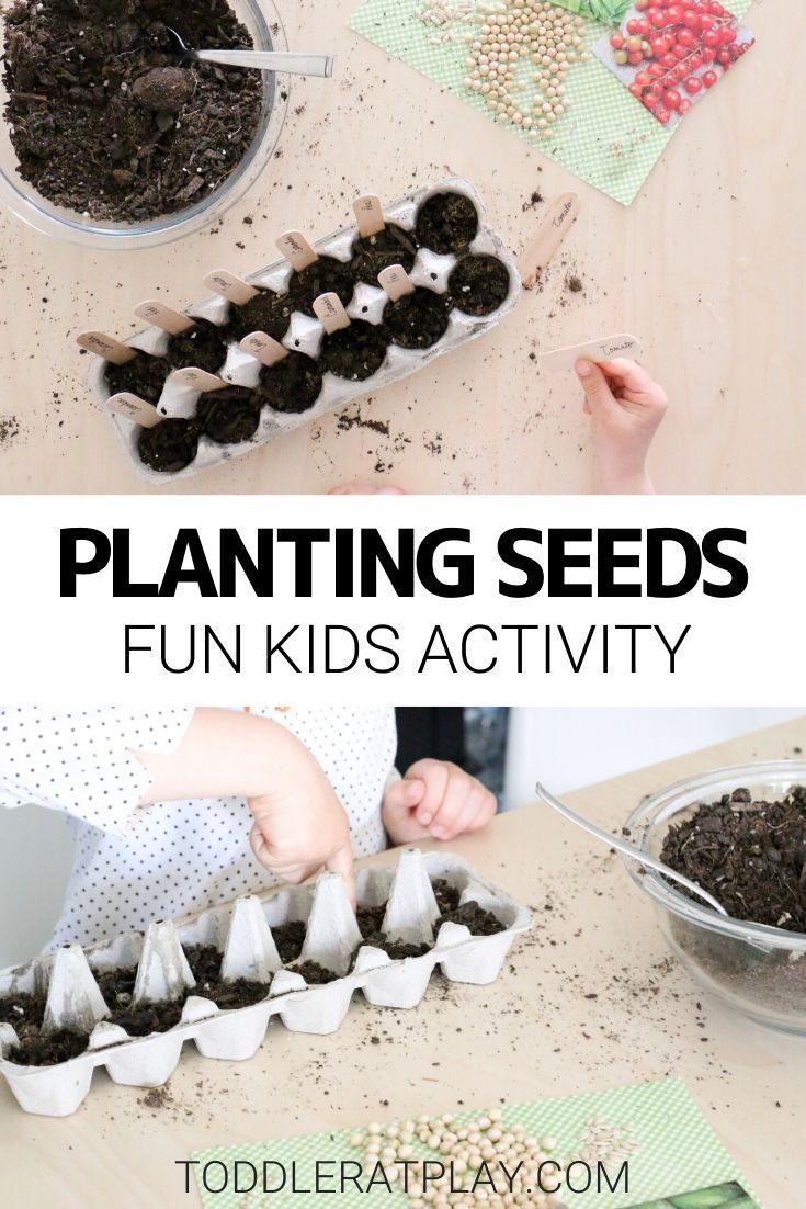 kids are playing with seeding seeds on the table