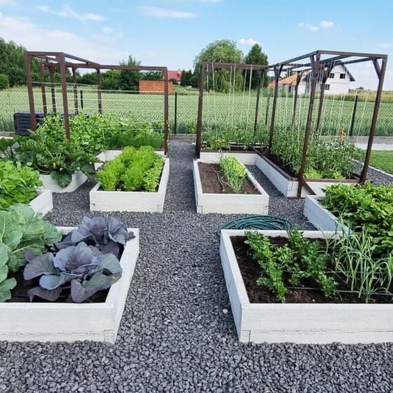 an outdoor vegetable garden with various plants and vegetables growing in the raised beds on each side