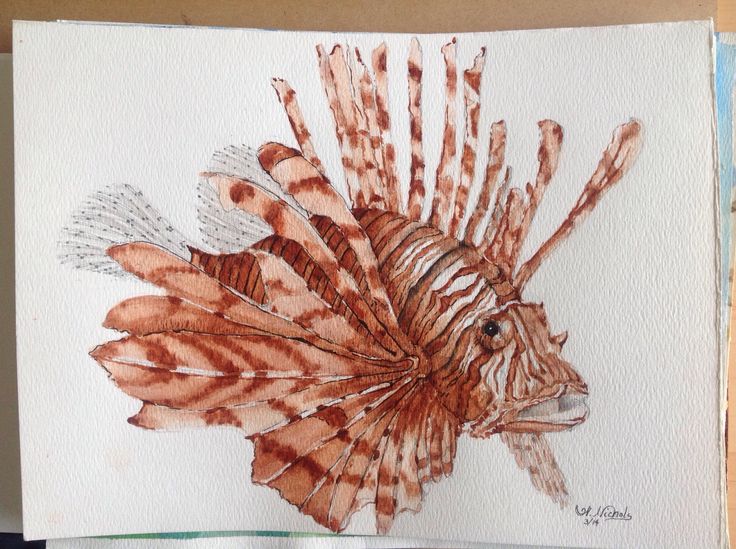 a drawing of a lionfish on white paper