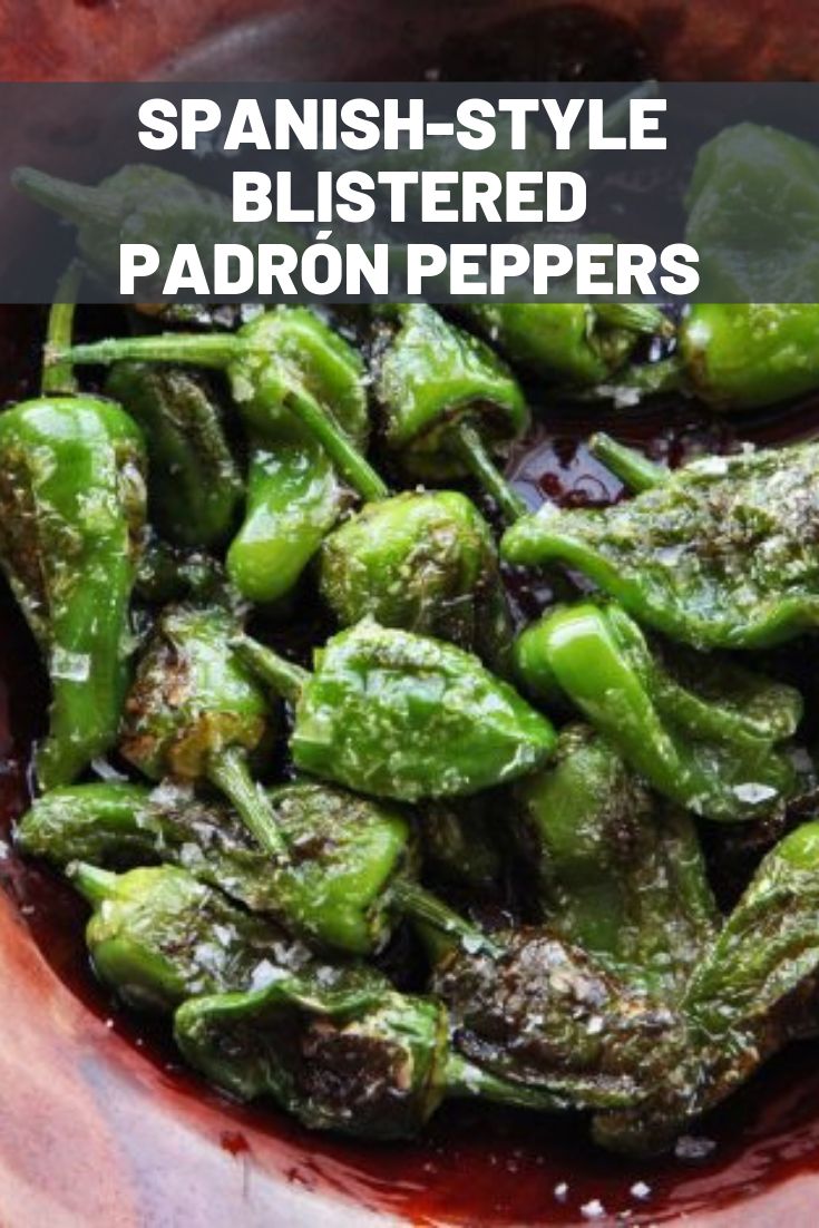 spanish - style blistered paddron peppers with brown sauce in a bowl