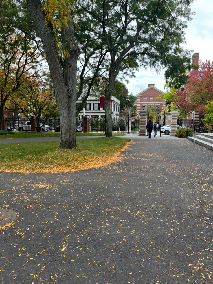 two people walking down the street in front of some trees and stairs with yellow leaves on the ground