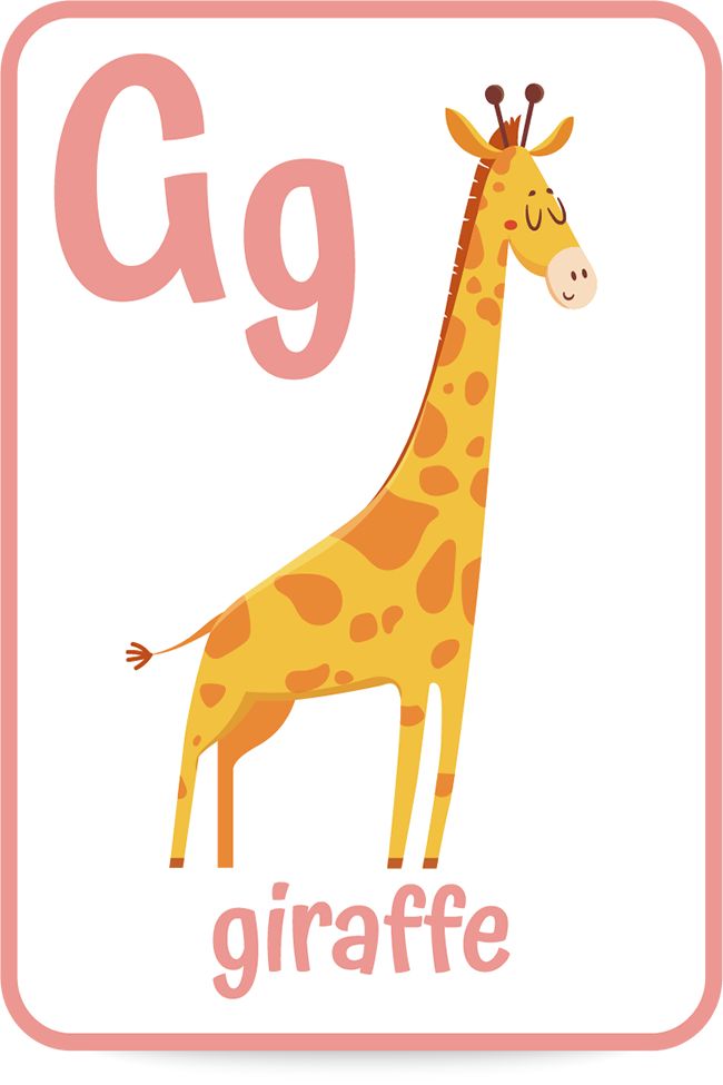 the letter g is for giraffe