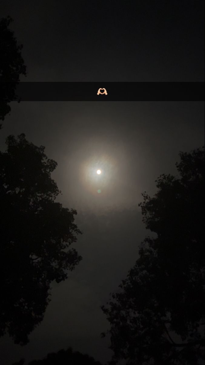 the moon is seen through some trees on a dark night with no clouds in sight