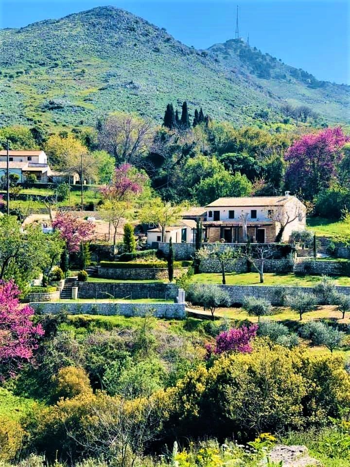 an image of a house in the middle of trees and bushes with mountains in the background