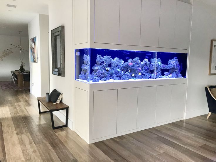 a fish tank in the middle of a living room with hardwood floors and white walls