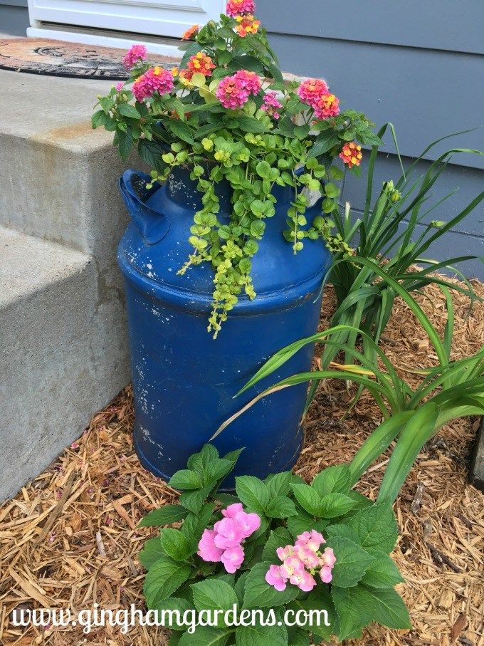 some flowers are growing out of a blue barrel on the ground next to a planter