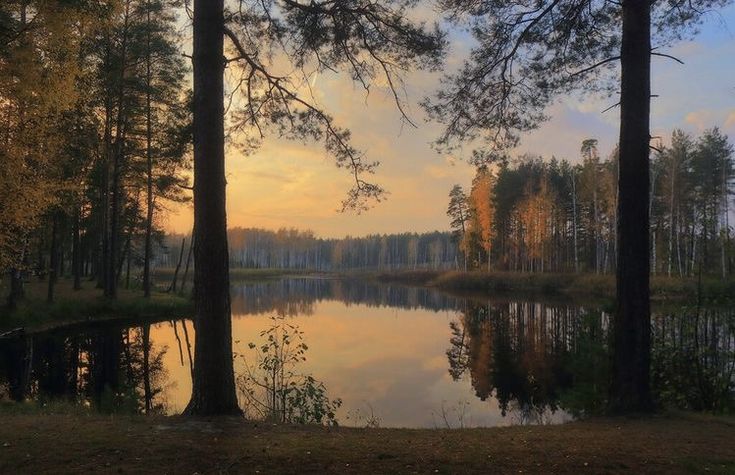 a lake surrounded by tall trees with the sun setting in the sky above it and reflecting on the water