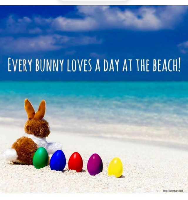 an easter bunny sitting on the beach with eggs in front of him and text that reads, every bunny loves a day at the beach