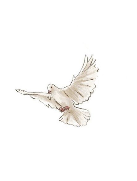 a drawing of a white dove flying in the sky